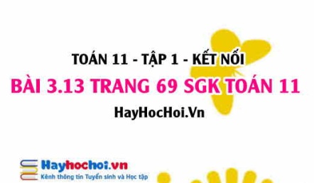 Giải bài 3.13 trang 69 Toán 11 tập 1 SGK Kết nối tri thức